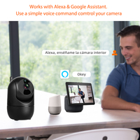 5G kamera WiFi 1080P WiFi kamera PTZ IP bezprzewodowa kamera monitorująca WiFi Alexa Google Auto Tracking wewnętrzna kamera IP 5